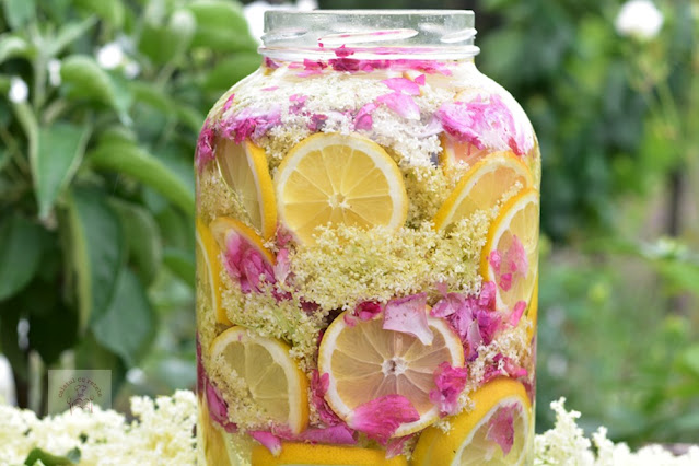 Bezinková limonáda s okvětními lístky růží