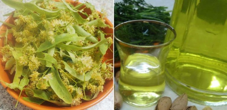 Aromatická lipová tinktura na samohřinu: připravujeme domácí nápoj, který vás potěší svou chutí
