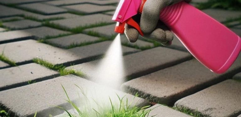 Jednoduchý a levný způsob, jak odstranit plevel z vašeho dvora nebo zahrady
