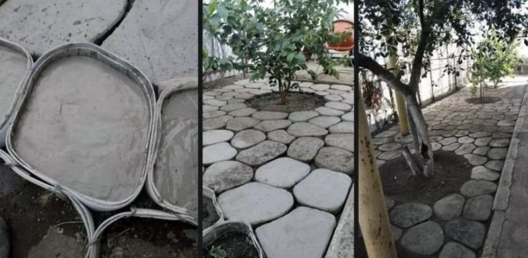 Originální způsob, jak vytvořit zahradní cestičku nebo upravit prostor kolem stromů pomocí zbytků linolea