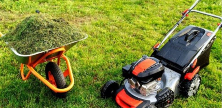 Co děláte s posekanou trávou z vašeho trávníku? 5 užitečných řešení pro zahradu