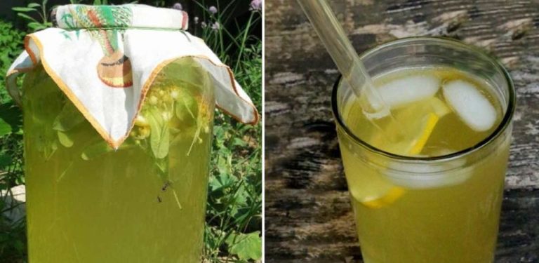 Limonáda z lipových květů – osvěžující, aromatický nápoj, ideální pro letní dny