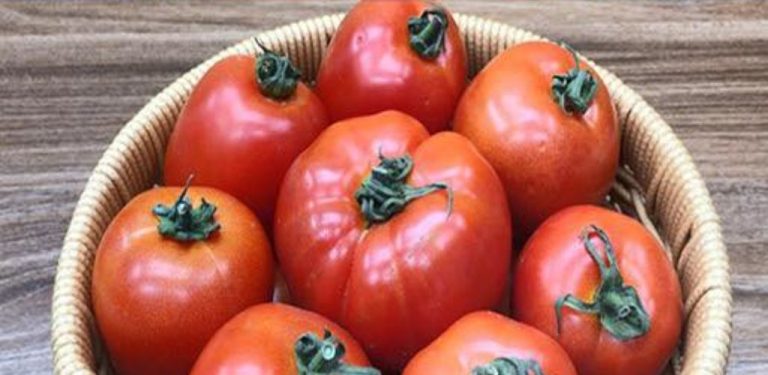 Neskladujte rajčata v lednici! Naučte se od farmářů, jak je udržet čerstvé po celé měsíce!