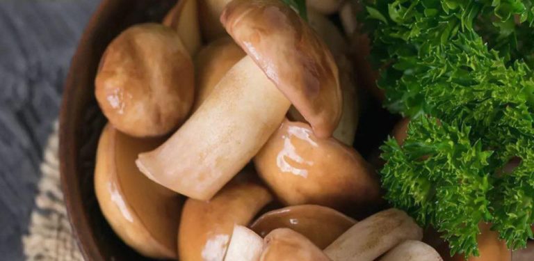 Houbové lívanečky jsou lepší a zdravější než ty s masem. Mají chuť, které se nemůžete nabažit