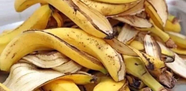 Přestaňte vyhazovat slupky od banánů! Starý trik od babičky, který vás překvapí!