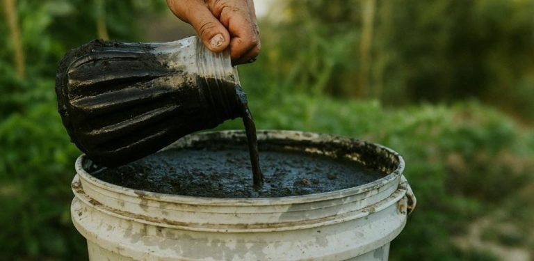 Nejúčinnější hnojivo a insekticid pro papriky, rajčata a okurky – bohatá sklizeň bez mšic, roztočů a vší