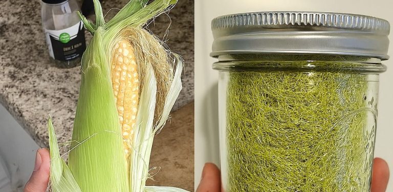 Nevyhazujte to! Tato „neužitečná“ část kukuřice je poklad pro vaše zdraví