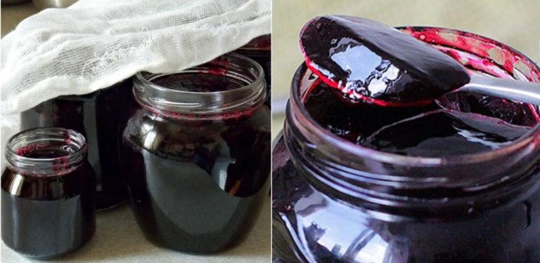 Želé z černého rybízu na zimu — husté, aromatické, prověřené léty