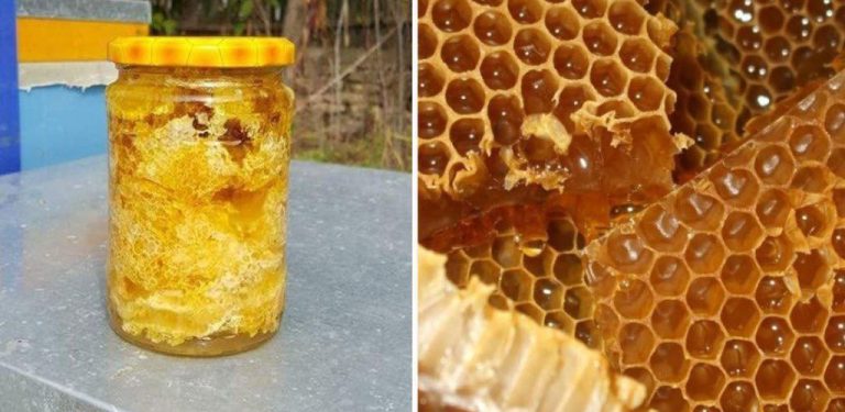Tajný elixír produkovaný včelami, silnější než med nebo propolis – lék na žaludeční potíže, vředy a gastritidu