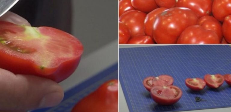 Rajčata „s příchutí dětství“ se stala raritou: Jak rozpoznat chemicky ošetřená rajčata a jaké rady dávají odborníci