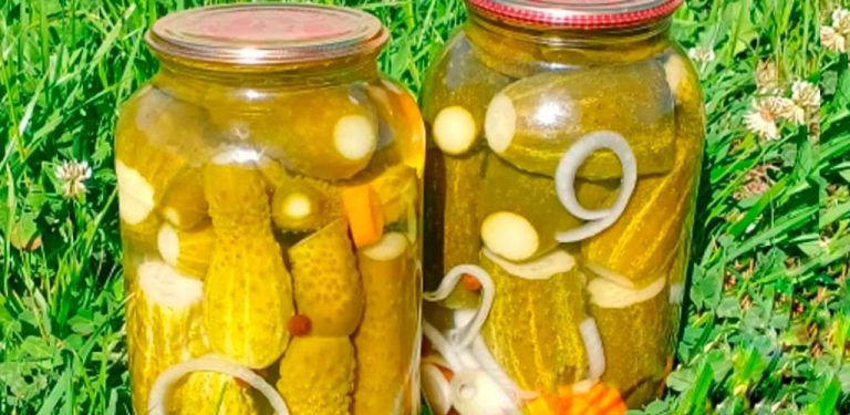 „Bulharské“ nakládané okurky – moje osvědčená klasika už více než 10 let! Křupavé, voňavé a velmi chutné – v zimě mizí ze stolu jako první! Určitě je připravte – nebudete litovat!