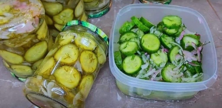 Ach, tenhle recept! Podělila se o něj se mnou jedna gruzínská kamarádka – a já teď vařím okurky na zimu v pánvích! Můžu stočit sto sklenic, žádný problém!