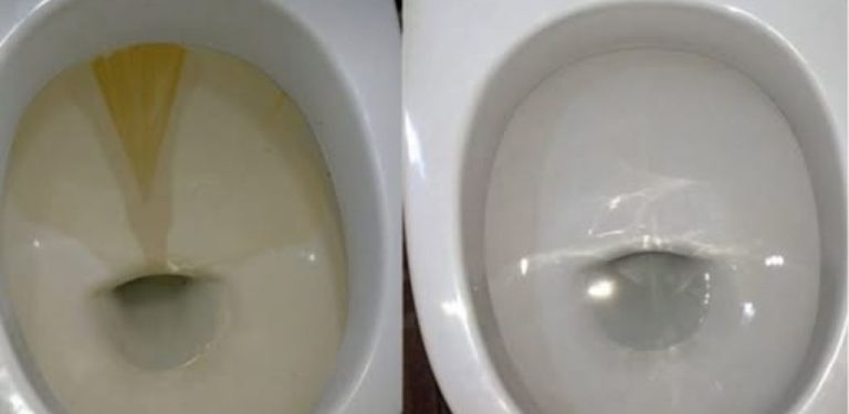 Špetka prášku a záchodová mísa se leskne jako diamant: teď ji čistím jen takhle! Sdílím svůj způsob!
