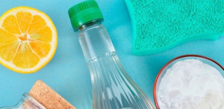 Šokující jednoduchost: jak se zbavit nepříjemných pachů v domácnosti bez použití chemikálií