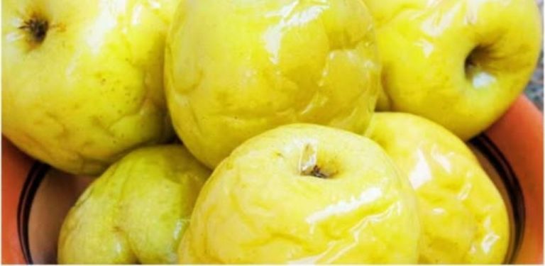 Ostrá, pikantní a lahodná kyselá jablka. Nevydrží ani do Nového roku – sníme je hned!