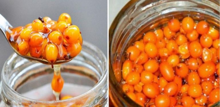 1 lžíce medu s rakytníkem denně – přírodní lék, který změní celé vaše tělo…