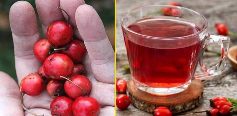 Hloh nebo „doktor srdce“, jak jej nazývají francouzští lékaři – údajně prodlužuje život minimálně o 10 let (jak se připravuje a jak se konzumuje)…