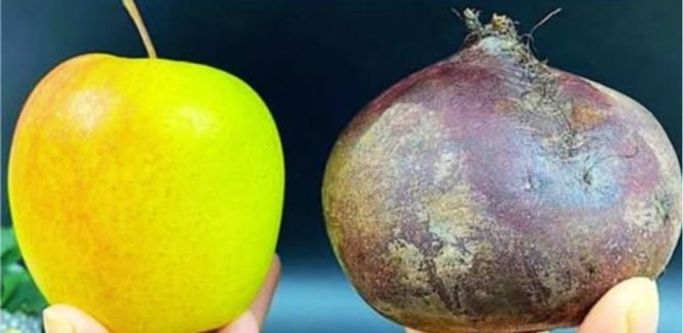 Salát z jablek a řepy: jím ho každý večer a ráno mám na něj zase chuť! Patřím k lidem, kteří milují řepu. Můžu ji jíst v jakékoli podobě a považuji přílohy z této zeleniny za nejlepší doplněk k masovým pokrmům.