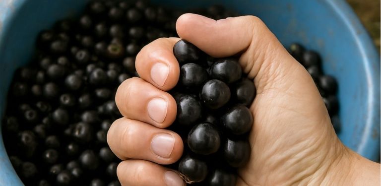 Potravina, která mění pohled na zdraví: detoxikuje organismus a zpomaluje stárnutí