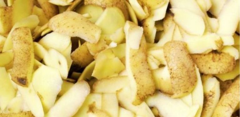 Nikdy nevyhazujte bramborové slupky! Ukazuje se, že jsou v domácnosti nepostradatelné. Představíme vám zajímavé způsoby jejich využití.