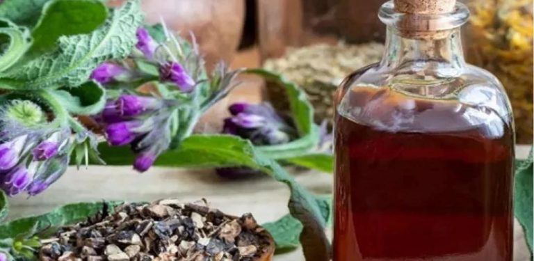 Tătăneasa – zázračná rostlina, která léčí více než 100 onemocnění, používaná již od dob Dáků (jak ji správně konzumovat)….