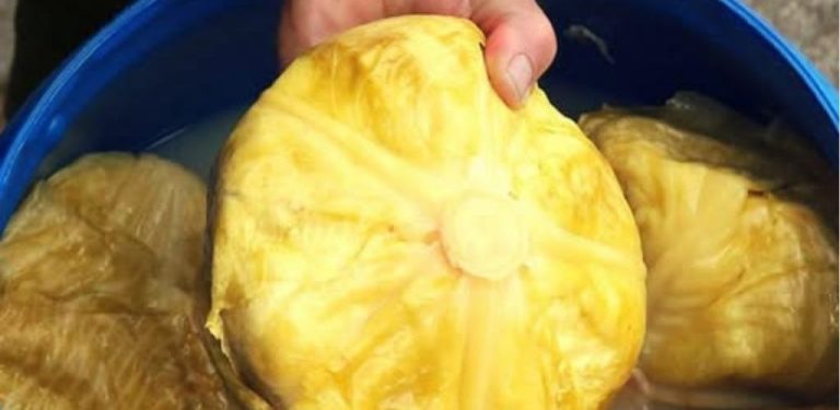 Poznámka: Jak nakládat zelí, aby bylo perfektní na plněné zelí a salát (recept a způsob přípravy) …