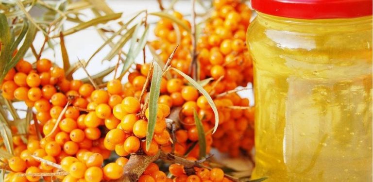 Včelí med s rakytníkem, zázračný recept na 45 nemocí.