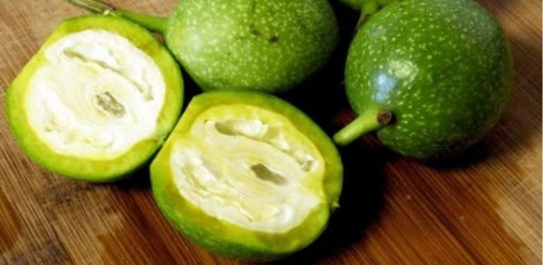 Zelený ořechový nápoj – zapomenutý lék, který dokáže vyléčit více než 10 nemocí! Objevte babiččin recept