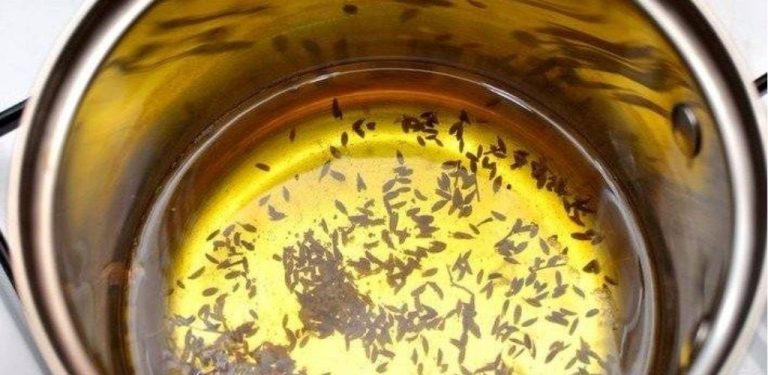 Není náhodou, že se kdysi jedla polévka z kmínu každý týden – 10 blahodárných účinků vařeného kmínu