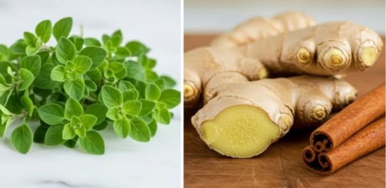 Smíchejte oregano, zázvor a skořici: za pouhé 2 minuty mi poděkujete | Tento lék užívám několikrát týdně!