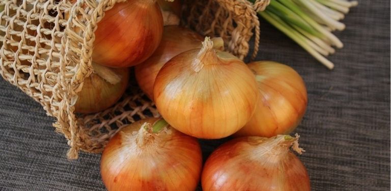 Přírodní expektorans, které zmírňuje kašel, pálení a svědění v krku – cibulový sirup s tymiánem a ořechy