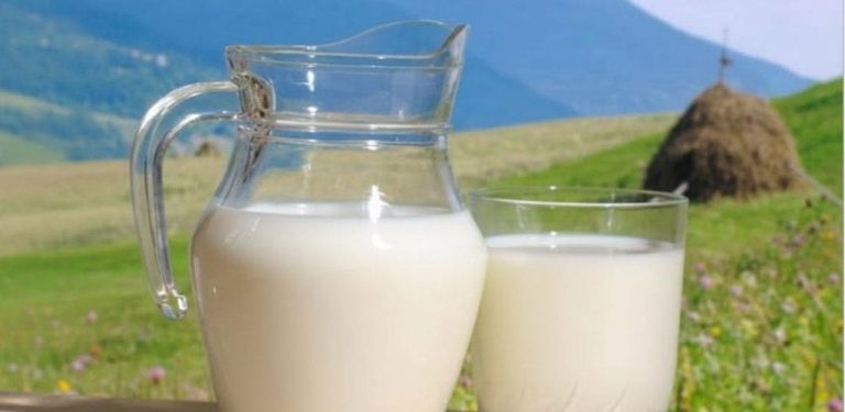 Kozí mléko – silný spojenec pro posílení kostí a zdraví srdce (jak správně konzumovat)…