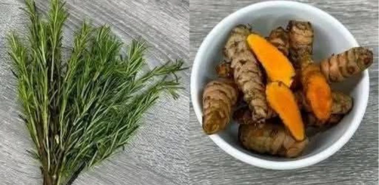 Říkají mu „odstraňovač cukru z krve“, protože už více než 100 let pomáhá léčit cukrovku. Léčí poškozené ledviny a odstraňuje cholesterol. Všichni se mě ptají, jak se mi podařilo zbavit se cukrovky tak rychle a bez užívání léků.