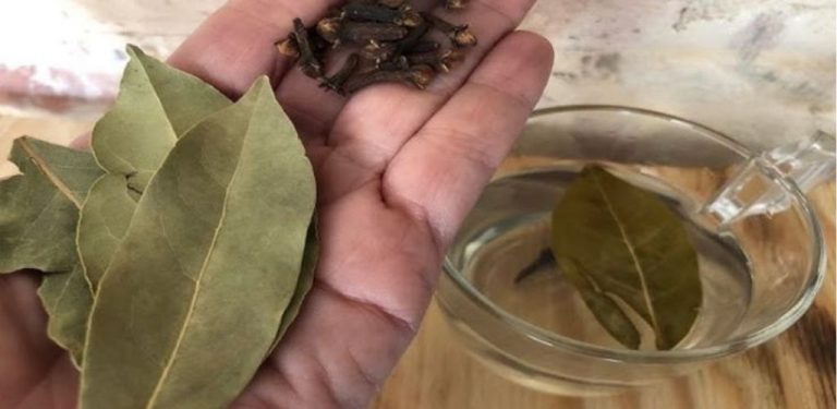 🌿 Proč smíchat 2 hřebíčky a 2 bobkové listy: starý domácí trik, který stojí za vyzkoušení