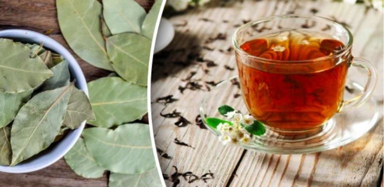 Proč se do čaje přidává bobkový list – překvapivý recept na voňavý a léčivý nápoj