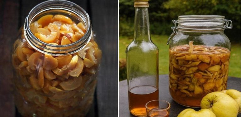 Kdoule likér – vynikající podzimní tonikum, které by nemělo chybět v žádné domácnosti (jak ho správně připravit) …