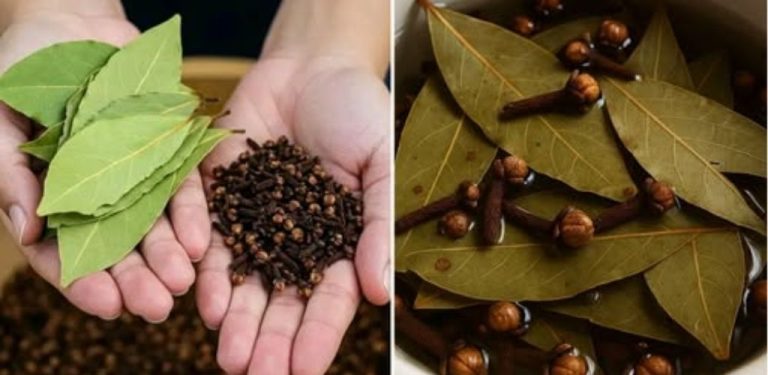 18 ÚŽASNÝCH PŘÍNOSŮ PRO ZDRAVÍ ČAJE Z LEVANDULE A HŘEBÍČKU