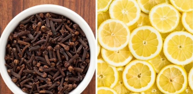 Léčivá síla hřebíčku a citronu: přírodní duo pro zdraví a šťastnější domov