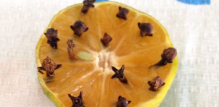 Síla přírody v jednom spojení: hřebíček a citron