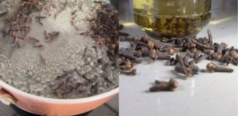 Hřebíček a domácí bylinné odvary: Tradiční způsob, jak si ulevit při kašli a nachlazení