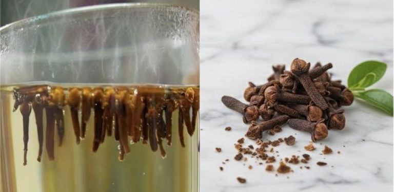Hřebíčková voda: starý domácí recept, který stojí za vyzkoušení