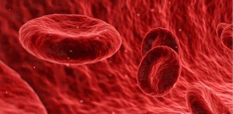 Mít tuto krevní skupinu znamená, že budete stárnout pomaleji a…