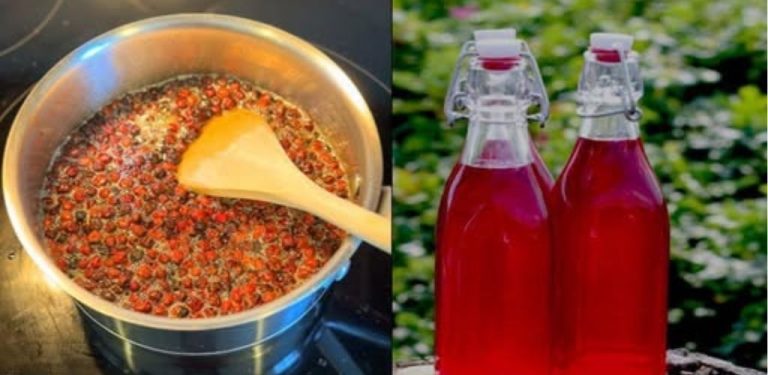 Hlohový sirup – přírodní tonikum, vynikající pro srdce a krevní oběh….