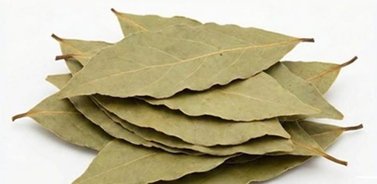 Moje babička připravovala tento recept, který se tradičně používá k úlevě od nespavosti, cukrovky, artritidy, cystitidy, bolesti břicha a nervových poruch.