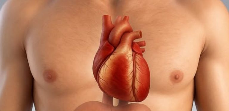 Infarkt vás varuje měsíc předem Tělo vás varuje prostřednictvím 6 signálů, které…