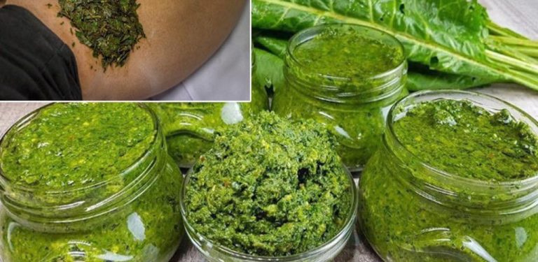 Křenová pasta – přírodní lék na srdce (jak se připravuje a jak se správně používá)…