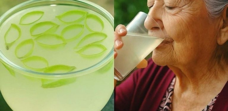 Aloe vera a skořice: přírodní podpora zdraví pokožky, zraku a imunity