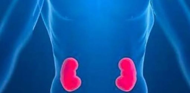 Tento přípravek odstraňuje z těla všechny toxické látky a jedy, dokonce i kyanid, odlehčuje ledvinám a je jedním z nejlepších prostředků proti nadýmání