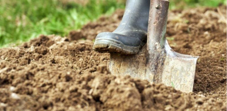 Je půda tvrdá jako kámen? Zde jsou tři přírodní způsoby, jak ji proměnit v úrodnou půdu