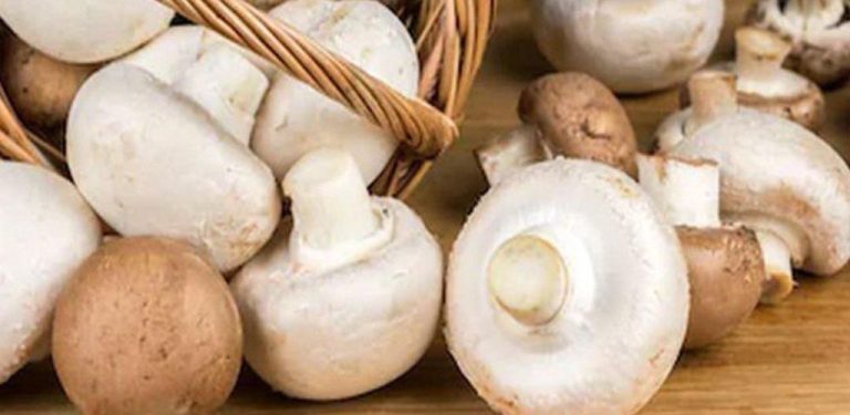Stojí za to si uložte – houbová polévka, kterou si budete olizovat prsty – postupný recept níže